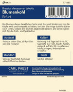 Pabst Keimkraft Blumenkohl Erfurter Zwerg