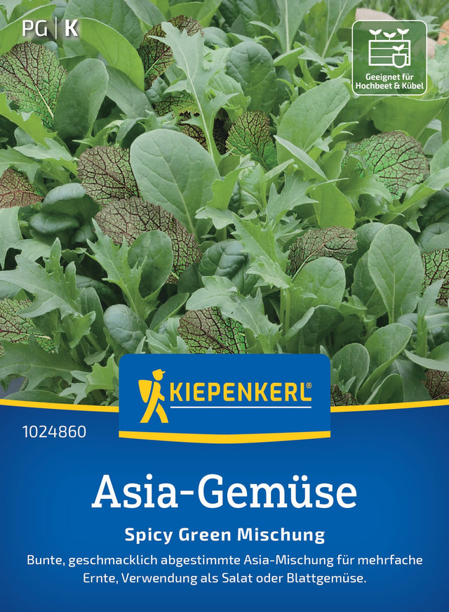 Kiepenkerl Asia-Salat Spicy Green Mischung