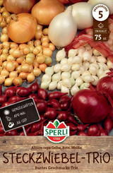 SPERLI Steckzwiebel Trio 75 Stück