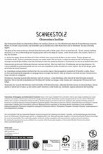 Schneestolz
