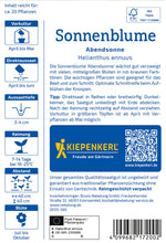 Kiepenkerl Sonnenblumen Abendsonne