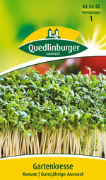 Quedlinburger Gartenkresse Krause