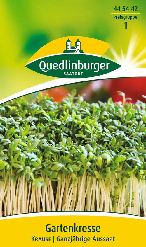 Quedlinburger Gartenkresse Krause
