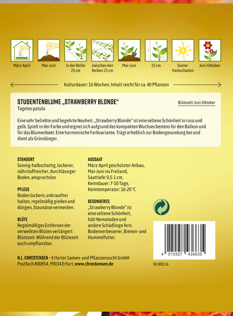 N.L. Chrestensen Studentenblume Strawberry Blonde