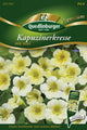 Quedlinburger Kapuzinerkresse Milk Maid