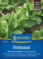 Kiepenkerl Feldsalat Verte de Cambrai Vorteilspack