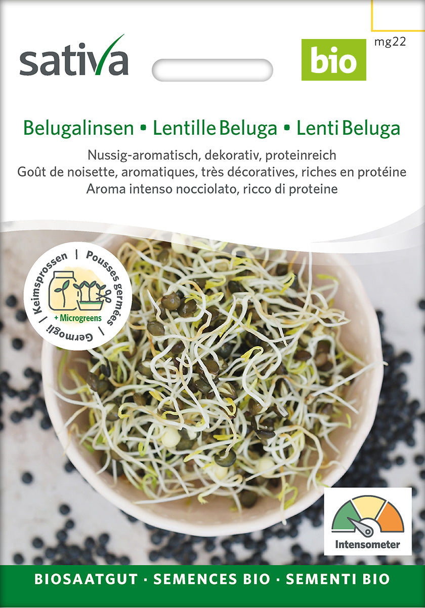 Sativa Keimsprossen Belugalinsen