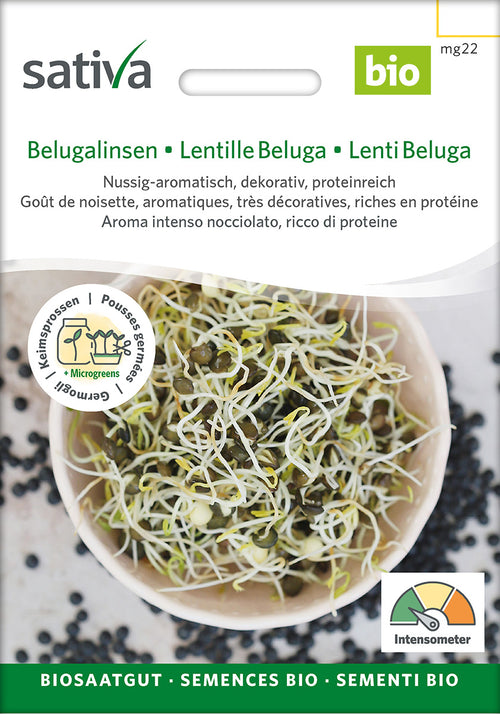Sativa Keimsprossen Belugalinsen