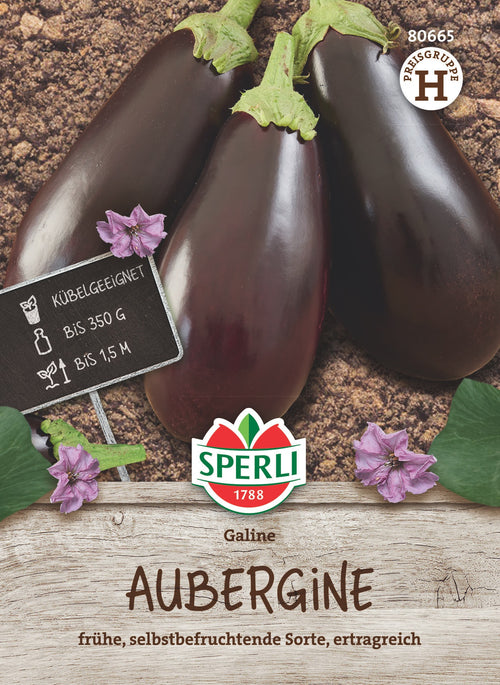 SPERLI Aubergine Galine