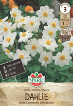 SPERLI Dahlie Sneezy