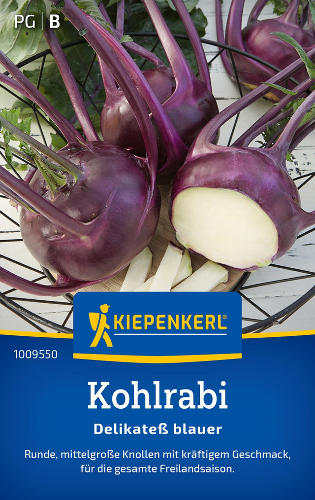 Kiepenkerl Kohlrabi Delikateß blauer