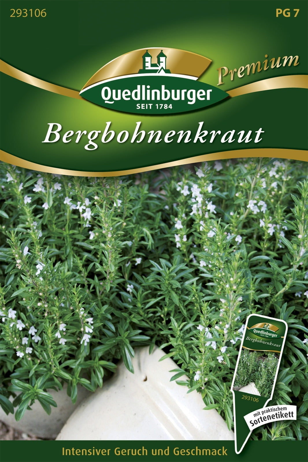Quedlinburger Bohnenkraut mehrjährig