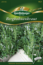 Quedlinburger Bohnenkraut mehrjährig