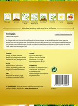 N.L. Chrestensen Teefenchel einjährig