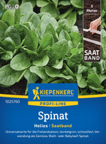 Kiepenkerl Spinat Helios Saatband