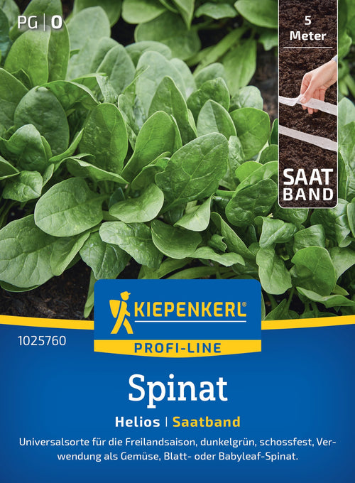 Kiepenkerl Spinat Helios Saatband