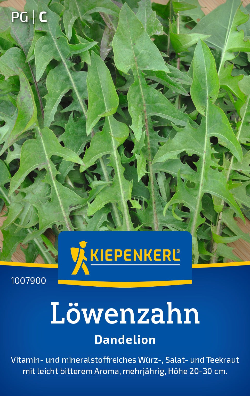 Kiepenkerl Löwenzahn Dandelion