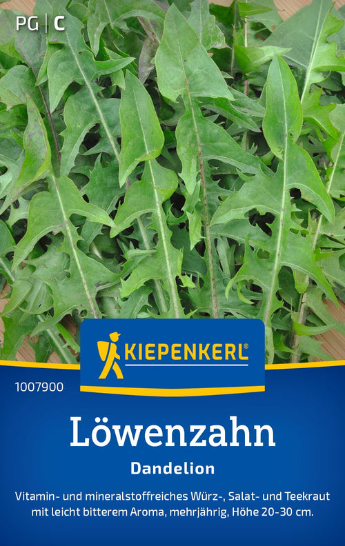 Kiepenkerl Löwenzahn Dandelion