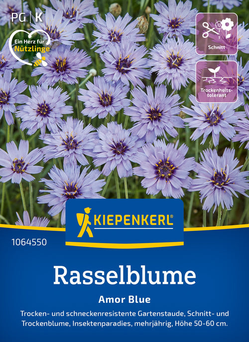 Kiepenkerl Rasselblumensam Amor Blue