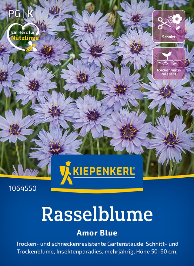 Kiepenkerl Rasselblumensam Amor Blue