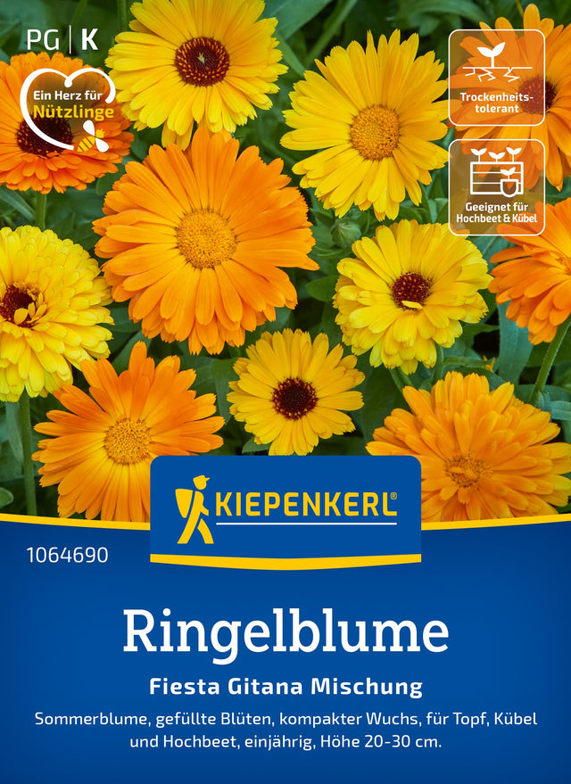 Kiepenkerl Ringelblumen Fiesta Gitana Mischung