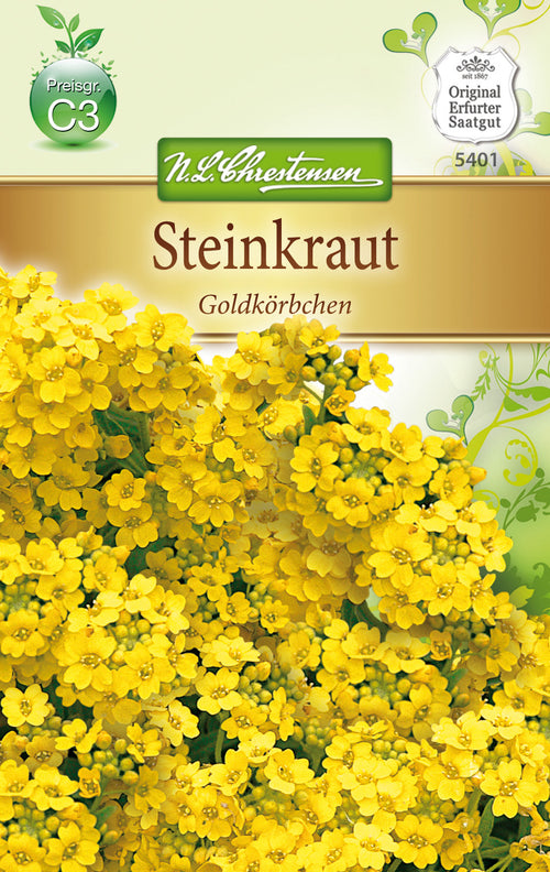 N.L. Chrestensen Alyssum sax.Compact.Steinkraut, Goldköpfchen