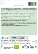 Sativa Koriander Saatscheibe