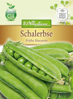 N.L. Chrestensen Schalerbse Frühe Harzerin
