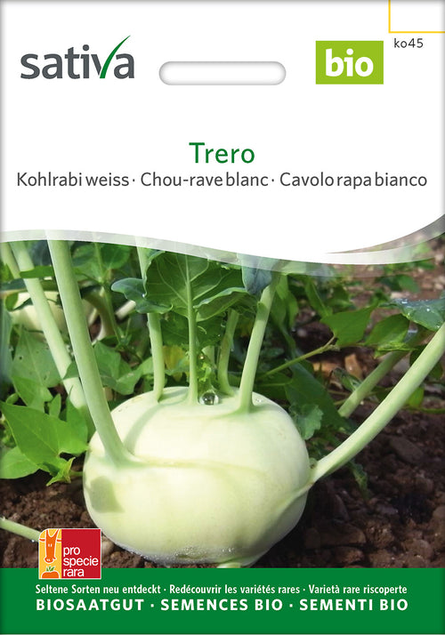Sativa Kohlrabi weiss Trero