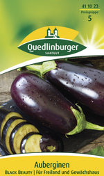 Quedlinburger Aubergine Black Beauty