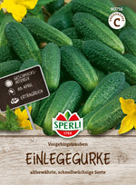 SPERLI Einlegegurke Vorgebirgstrauben