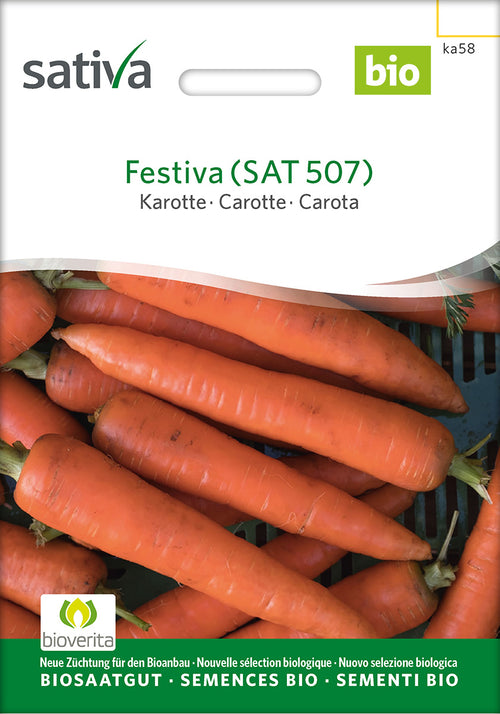 Sativa Karotte Festiva (SAT 507)