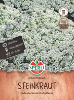 SPERLI Steinkraut Schneeteppich