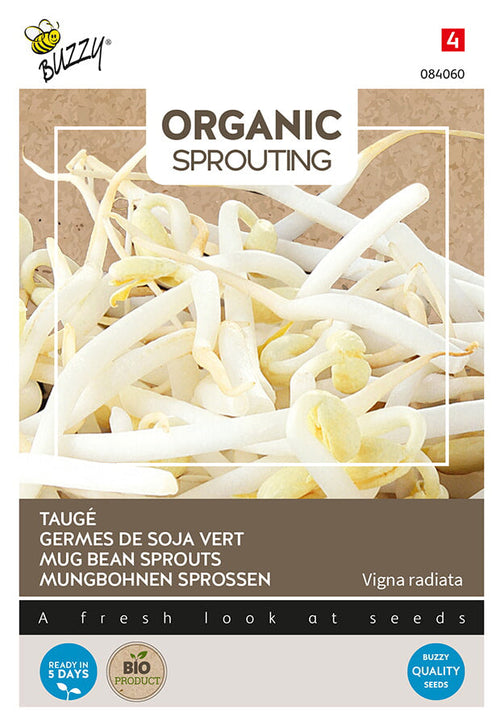 Buzzy Seeds BIO Keimsprossen Taugé E. Sativa