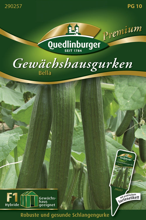 Quedlinburger Gewächshaus-Schlangengurke Bella