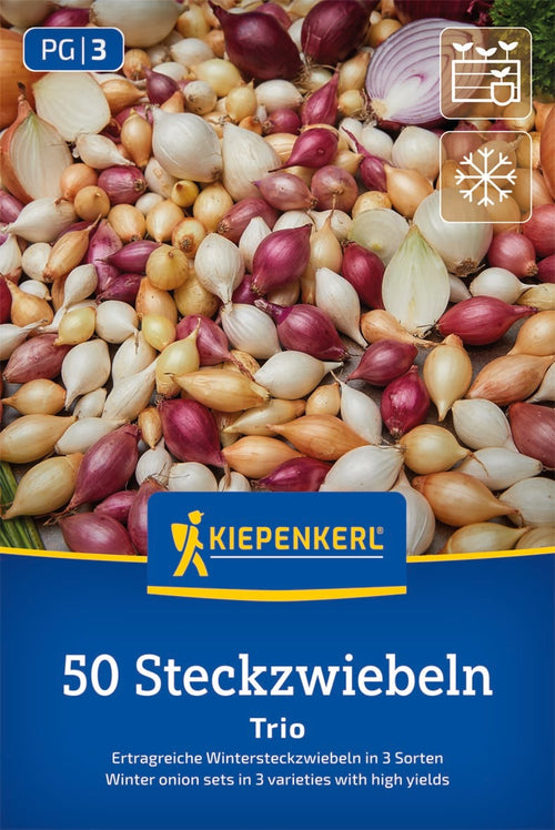 Kiepenkerl Wintersteckzwiebel-Trio Mischung 50 Stück