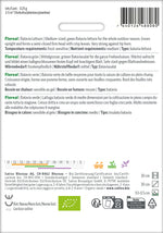 Sativa Bataviasalat grün Floreal