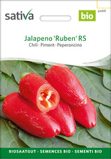 Sativa Chili Jalapeno 'Ruben' RS