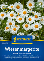 Kiepenkerl Margeriten Wilde Wucherblume