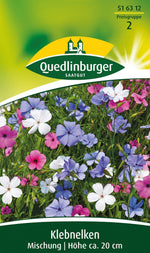 Quedlinburger Klebnelke Himmelsröschen Brautpaar