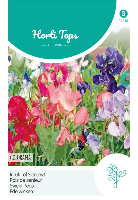 Horti Tops Platterbse Multiflora Colorama Mischung
