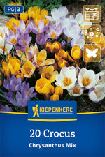 Botanische Krokus-Mischung