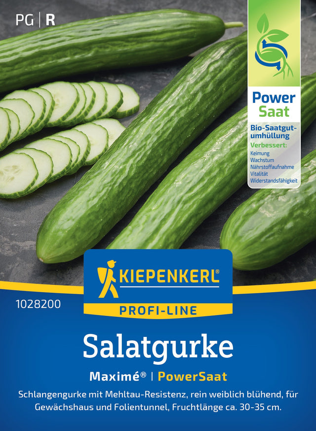 Kiepenkerl Salatgurken Maximé® Powersaat