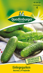 Quedlinburger Freiland-Einlegegurke Restina