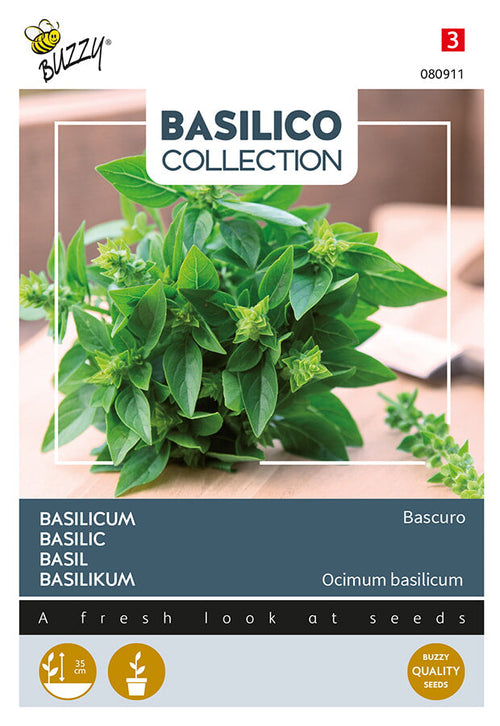 Buzzy Seeds Basilikum Bascuro