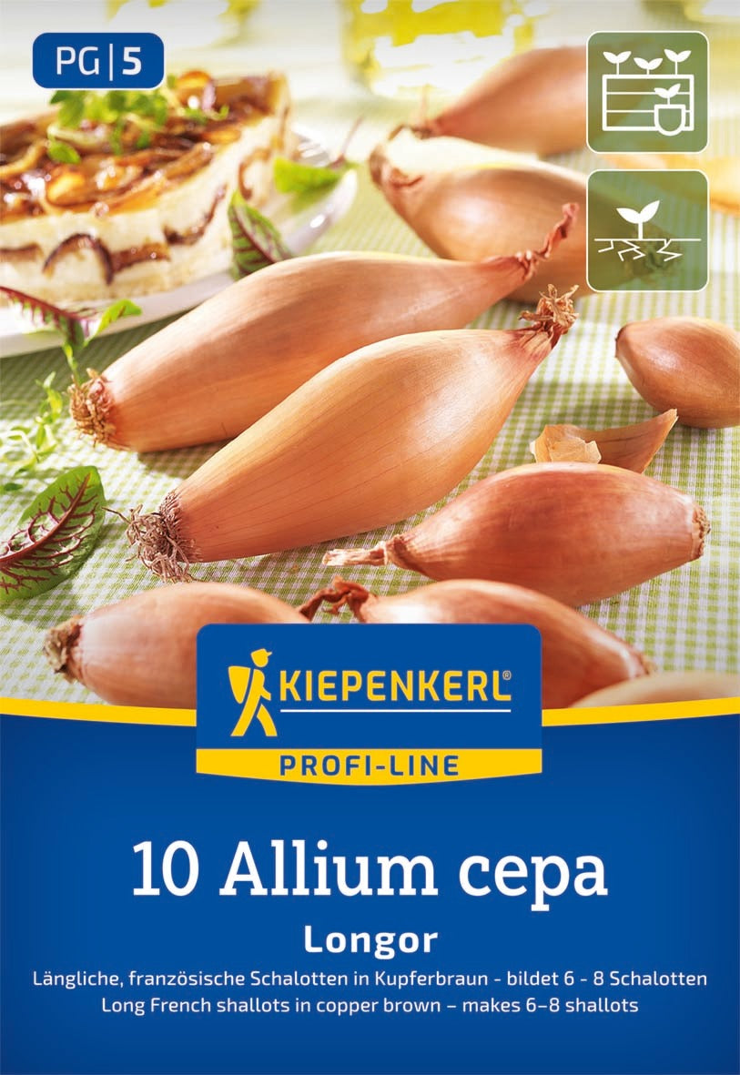 Kiepenkerl Schalotte Longor 10 Stück