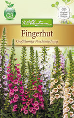 N.L. Chrestensen Digitalis, Excel.Hyb.Fingerhut, Großblumige Prachtmischung