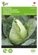 Buzzy Seeds Weißkohl Express