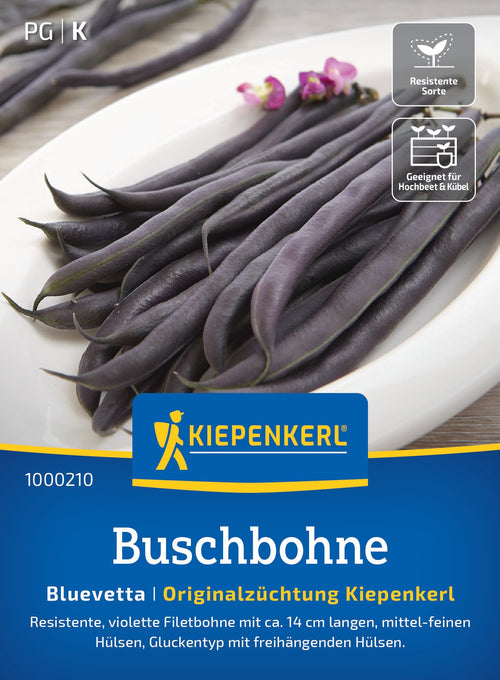 Kiepenkerl Buschbohnen Bluevetta