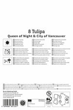 Tulpen Mix Day & Night